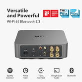 WiiM Amp Pro 多房間音樂串流器 – 高品質數位前置放大器
